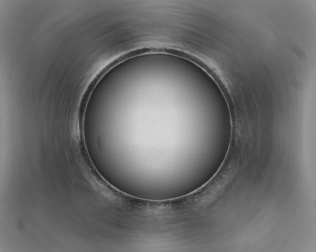 X0000110700887200906121331