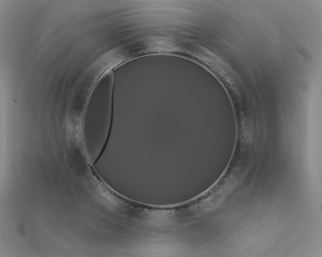 X0000110700889200906121331