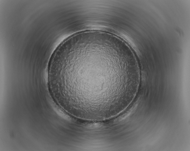 X0000110700891200906121331
