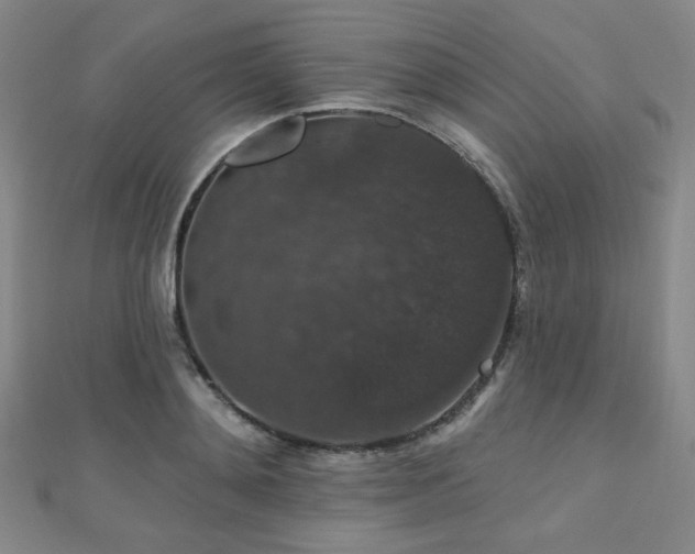 X0000110700892200906121331
