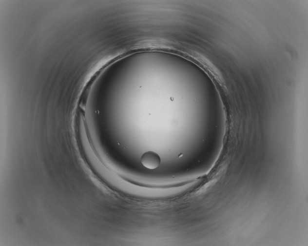 X0000110700893200906121331