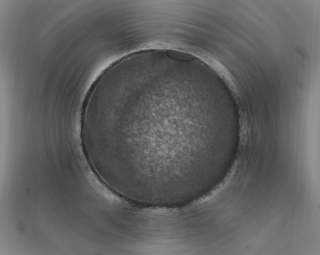 X0000110700896200906121331