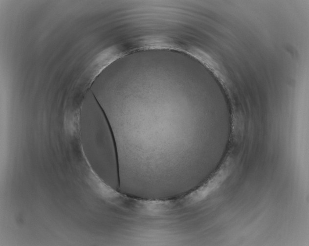 X0000110700897200906121331