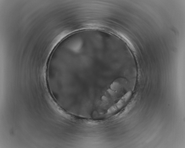 X0000110700899200906121331