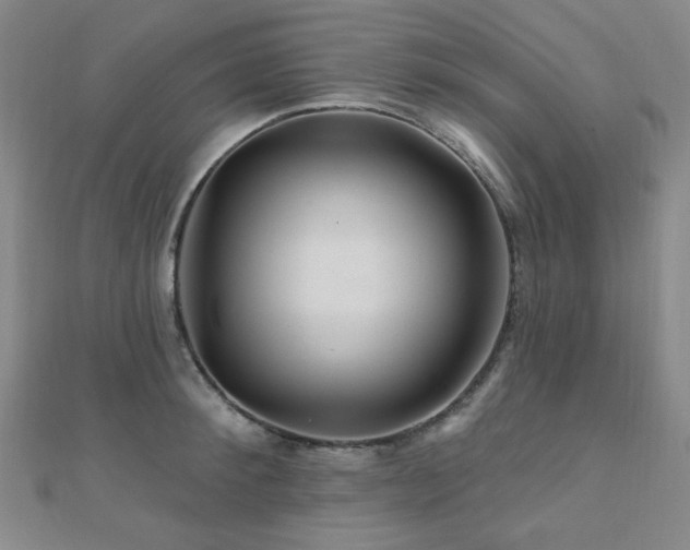 X0000110700900200906121331