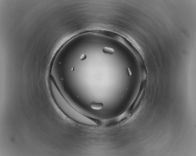 X0000110700901200906121331