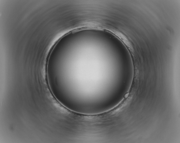 X0000110700904200906121331