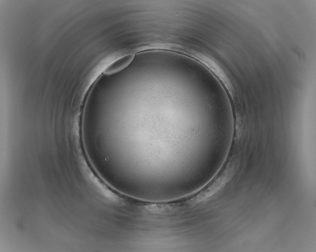 X0000110700906200906121331