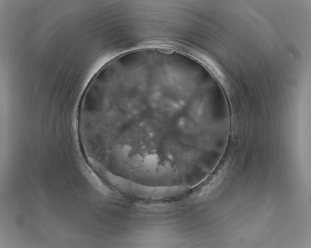 X0000110700907200906121331