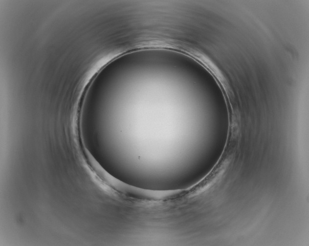 X0000110700909200906121331