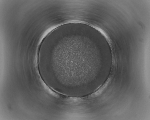 X0000110700910200906121331
