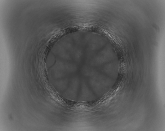 X0000110700913200906121330