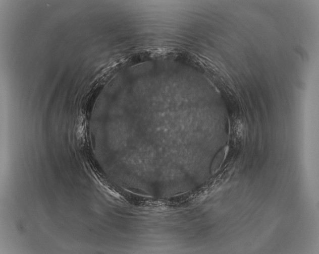 X0000110700914200906121330