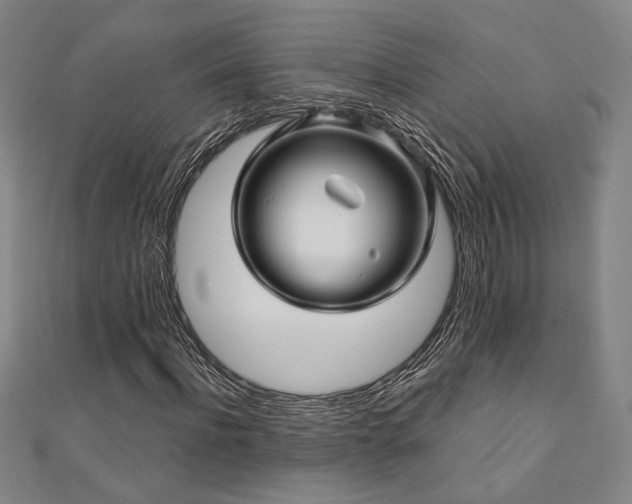 X0000110700916200906121330