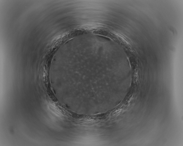 X0000110700917200906121330