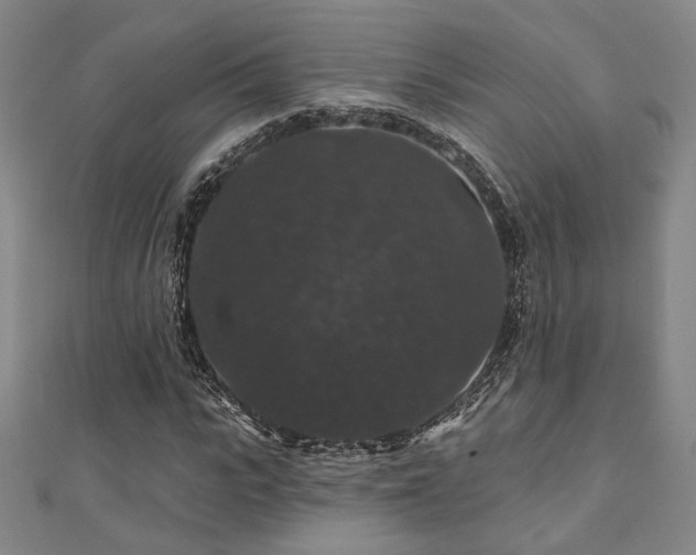 X0000110700919200906121330