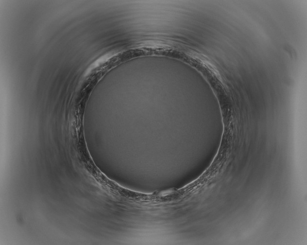 X0000110700920200906121330