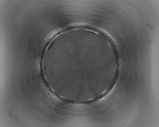 X0000110700921200906121330