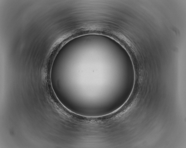 X0000110700922200906121330