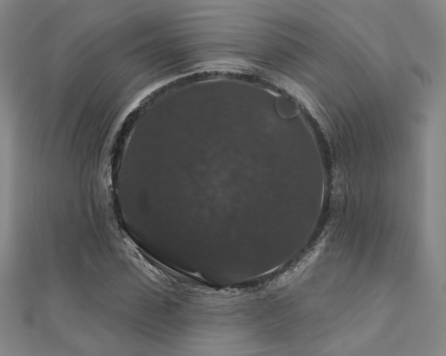 X0000110700923200906121330