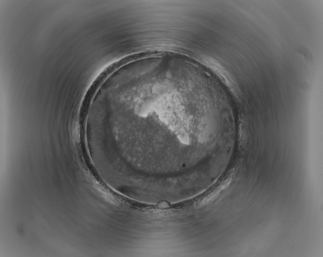 X0000110700924200906121330