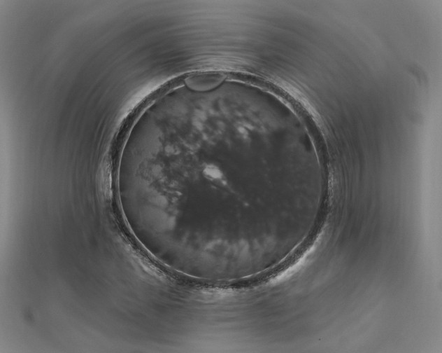 X0000110700925200906121330