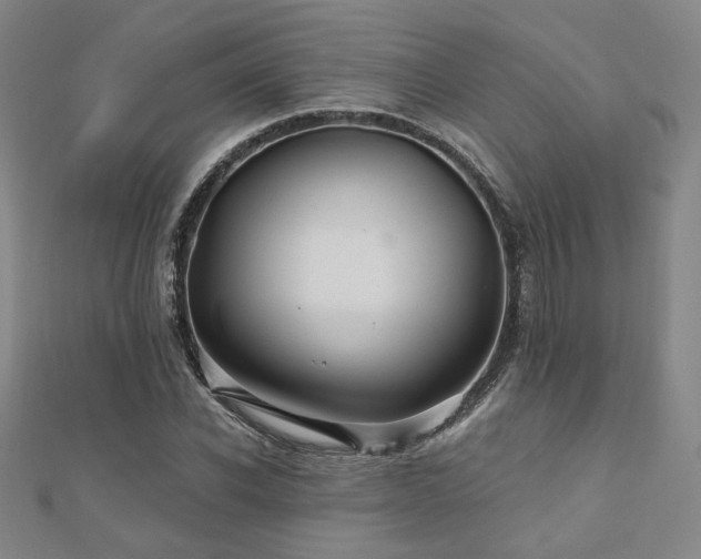 X0000110700926200906121330