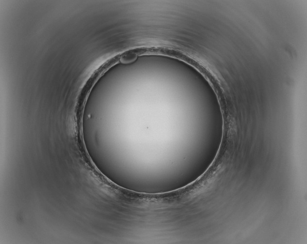X0000110700927200906121330