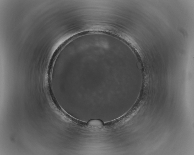 X0000110700928200906121330
