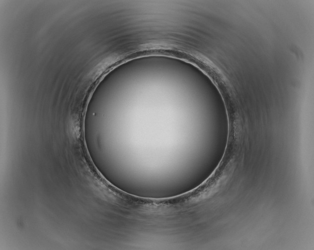 X0000110700929200906121330