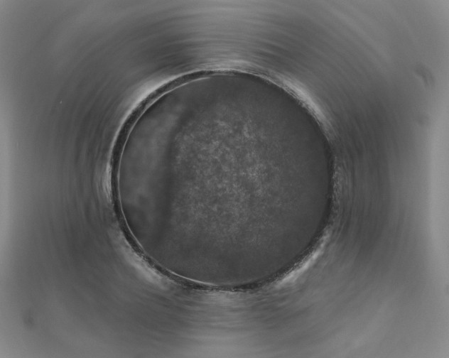 X0000110700932200906121331