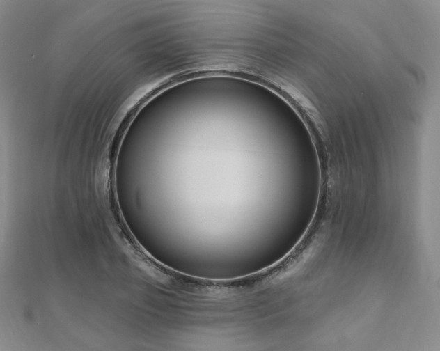 X0000110700933200906121331