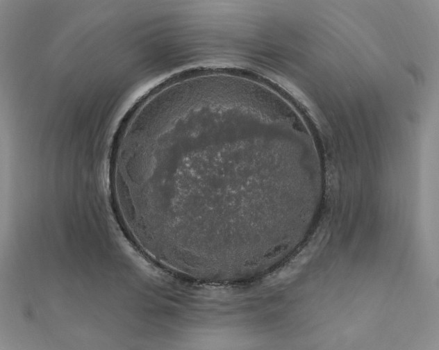 X0000110700935200906121331
