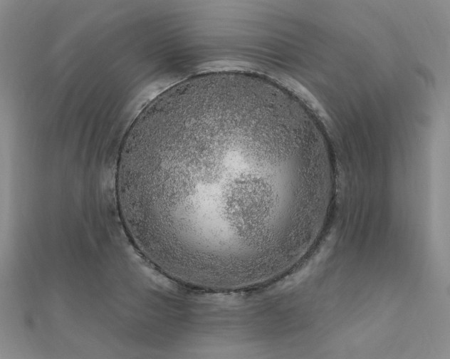X0000110700937200906121331