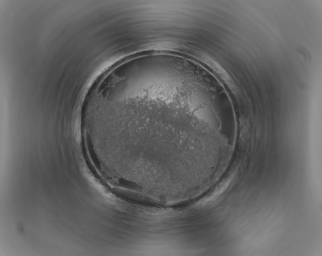 X0000110700939200906121331