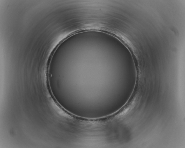 X0000110700941200906121331