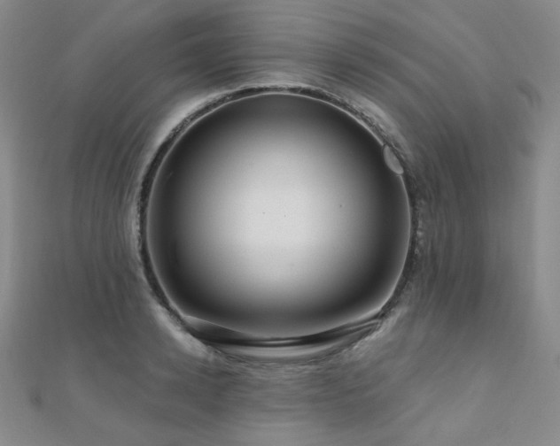 X0000110700942200906121331