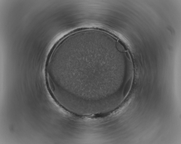 X0000110700943200906121331