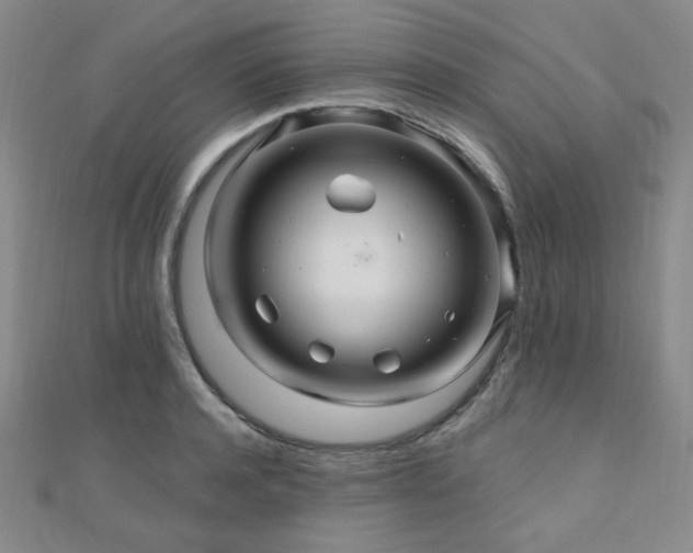 X0000110700944200906121331