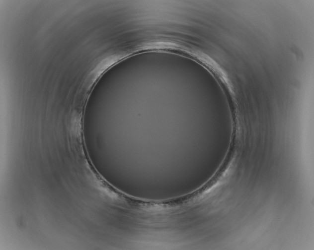 X0000110700945200906121331