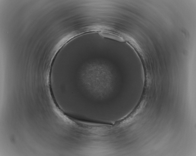 X0000110700946200906121331