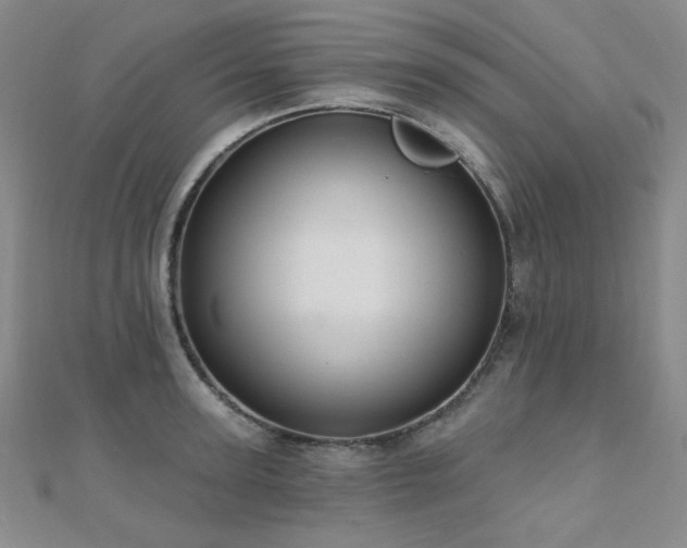 X0000110700947200906121331