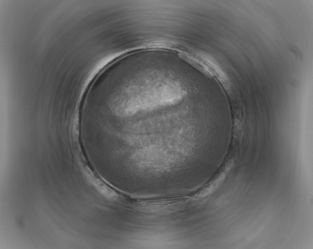 X0000110700948200906121331