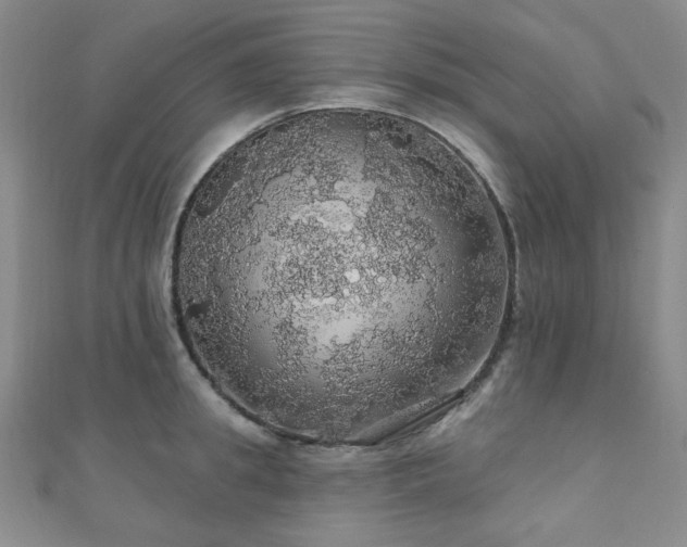 X0000110700949200906121331