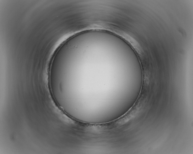 X0000110700950200906121331