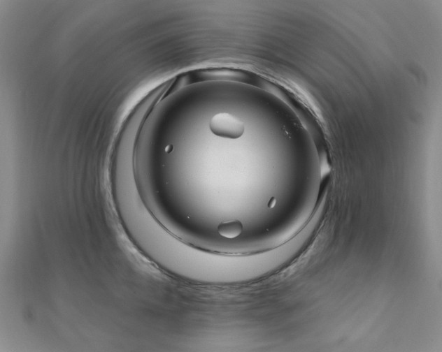 X0000110700952200906121331