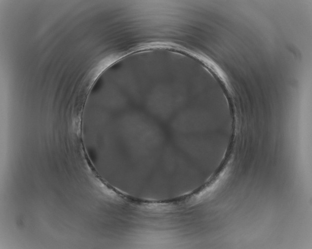 X0000110700953200906121331
