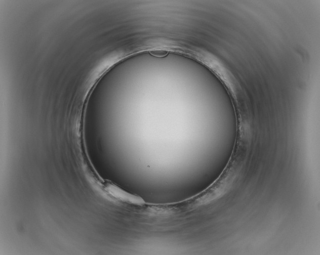 X0000110700954200906121331