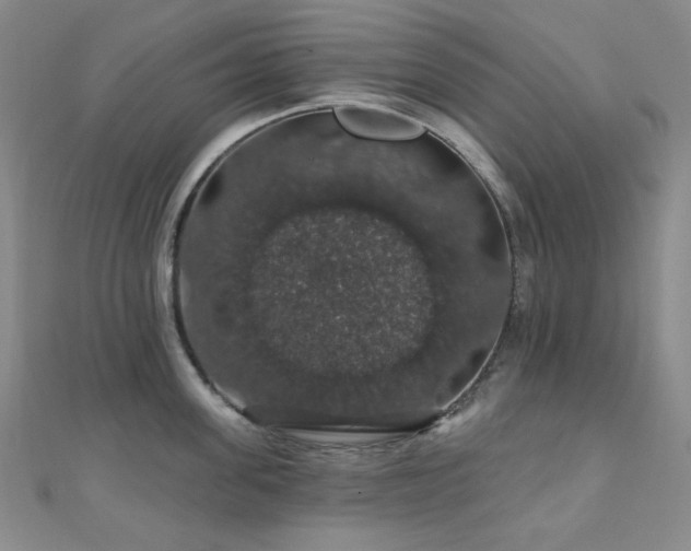 X0000110700955200906121331
