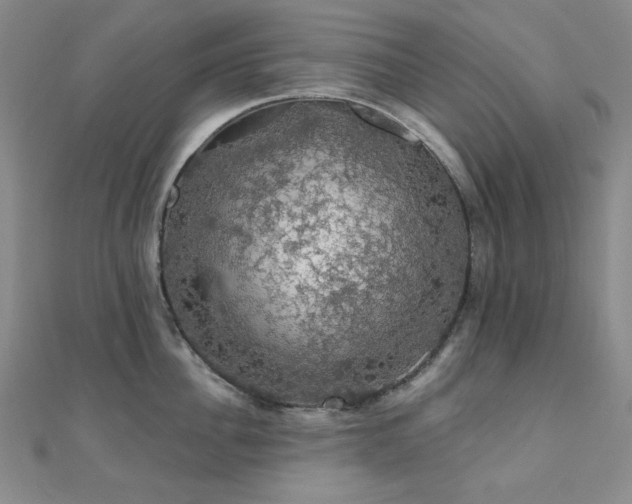 X0000110700956200906121331